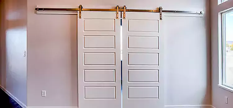 Glass Barn Door with Installation Hardware Kit Altus