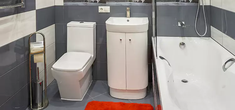 Hansgrohe Shaving Mirror Altus